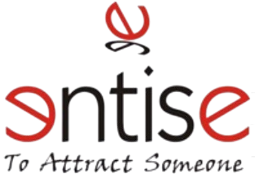 ENTISE.IN